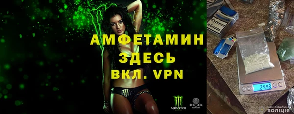 прущие грибы Инсар