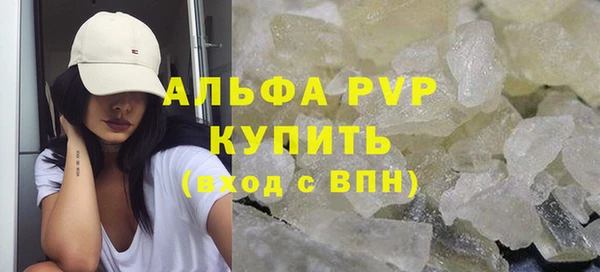 прущие грибы Инсар