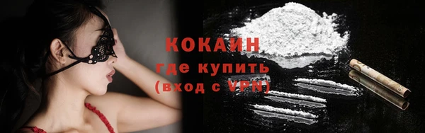индика Иннополис