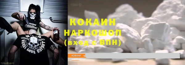 прущие грибы Инсар