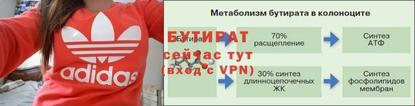 индика Иннополис