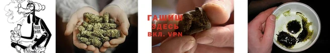 индика Иннополис