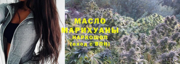 индика Иннополис