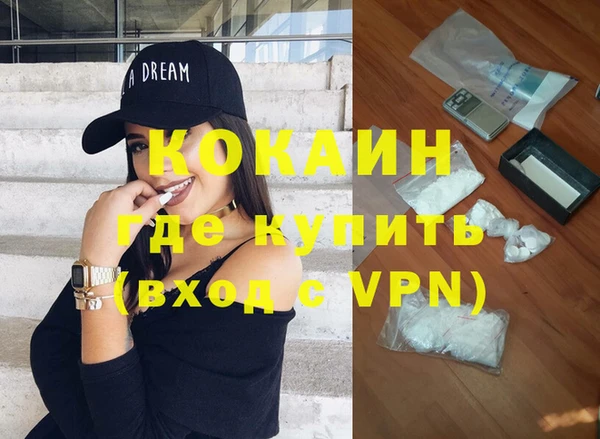 индика Иннополис