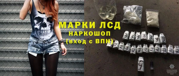 прущие грибы Инсар