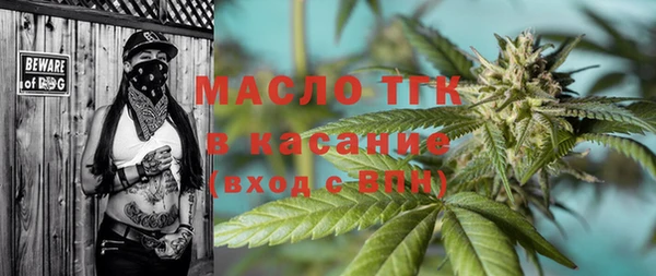 прущие грибы Инсар