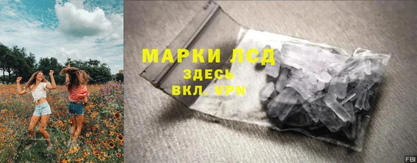 прущие грибы Инсар