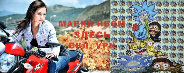 индика Иннополис