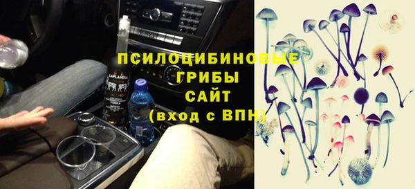 прущие грибы Инсар