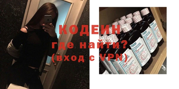 прущие грибы Инсар