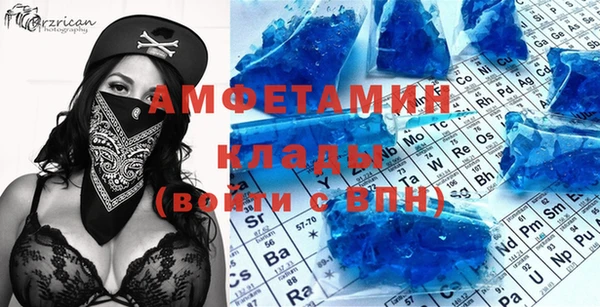 прущие грибы Инсар