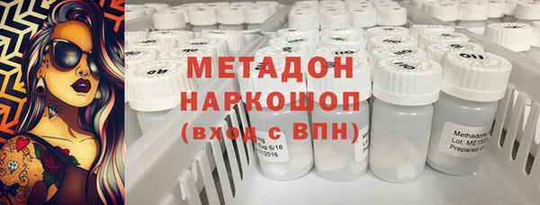 прущие грибы Инсар