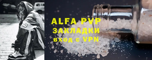 прущие грибы Инсар