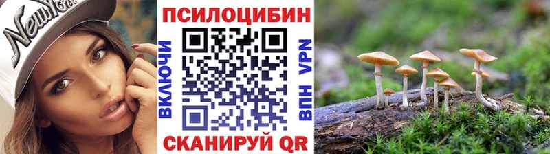 Купить  Демидов  Псилоцибиновые грибы GOLDEN TEACHER 